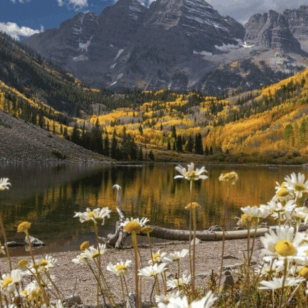 Screenshot 2025-07-30 at 5.01.08 PM